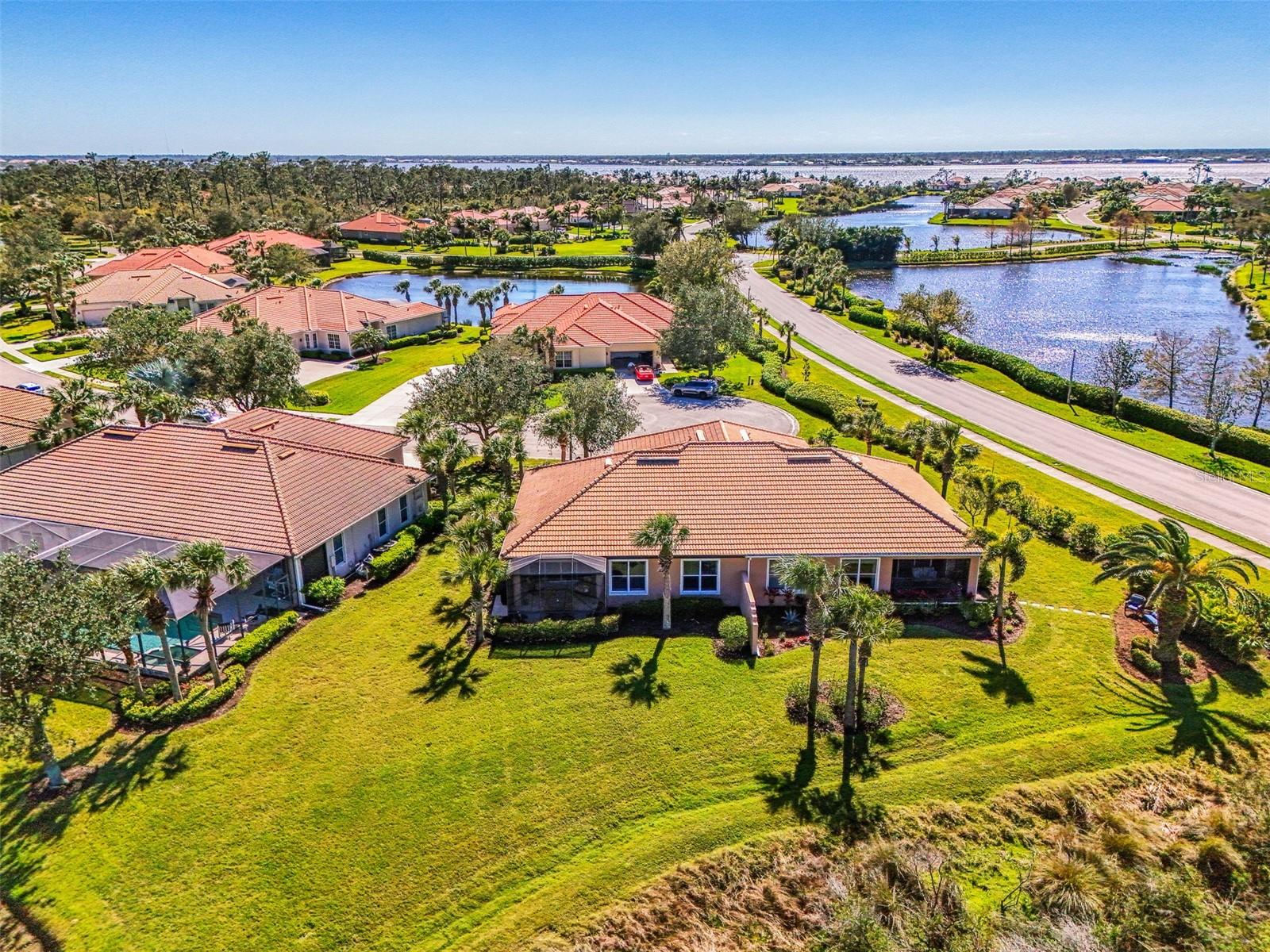 2625 Wax Myrtle
