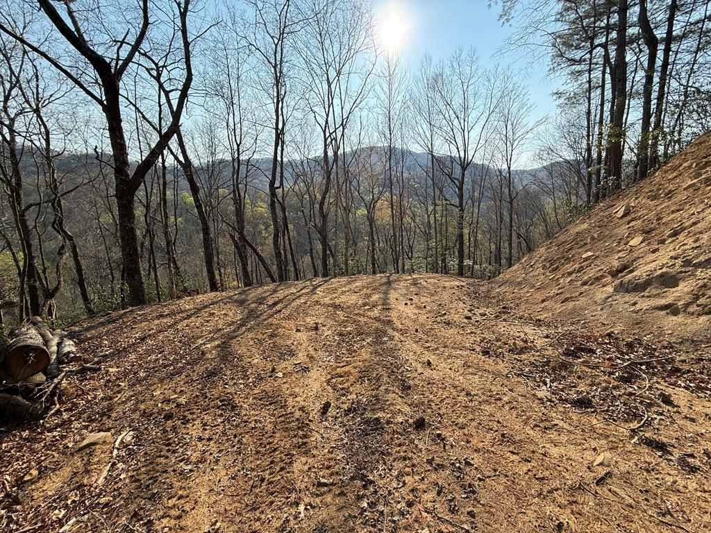 This approximately 15-acre property provides end-of-the-road privacy in the highly desirable Huffmann Creek area. Enjoy the perfect blend of seclusion and accessibility with state-maintained roads leading nearly to the property, plus an established access road already in place with a gentle, usable grade.  This is the last lot on the road, offering added privacy with no neighboring properties beyond and no through traffic above. The property features mature timber throughout, including impressive large white pines that add both natural beauty and value.  A cleared homesite is already in place, suitable for a cabin, camper, or tiny home, making it easy to start enjoying the property right away. There is also potential for an additional building site further up the property, offering flexibility for future plans.  A seasonal branch runs through the land, enhancing the peaceful mountain setting. Existing hiking and ATV trails wind throughout the property, making it ideal for outdoor enthusiasts looking to explore and enjoy their own private acreage.  A rare opportunity to own a private, usable tract with multiple potential homesites in one of the area's most sought-after locations.