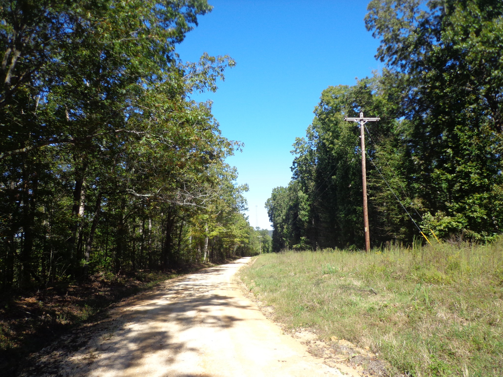1030 Bucksnort Rd