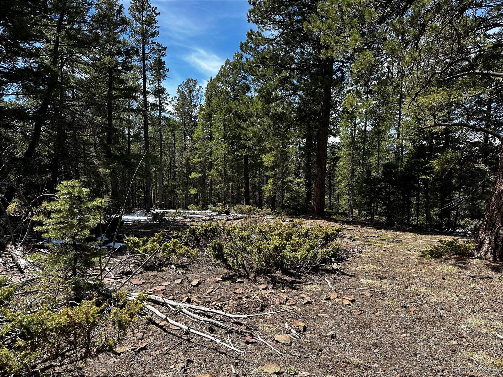 Lot 174 Ferris Place