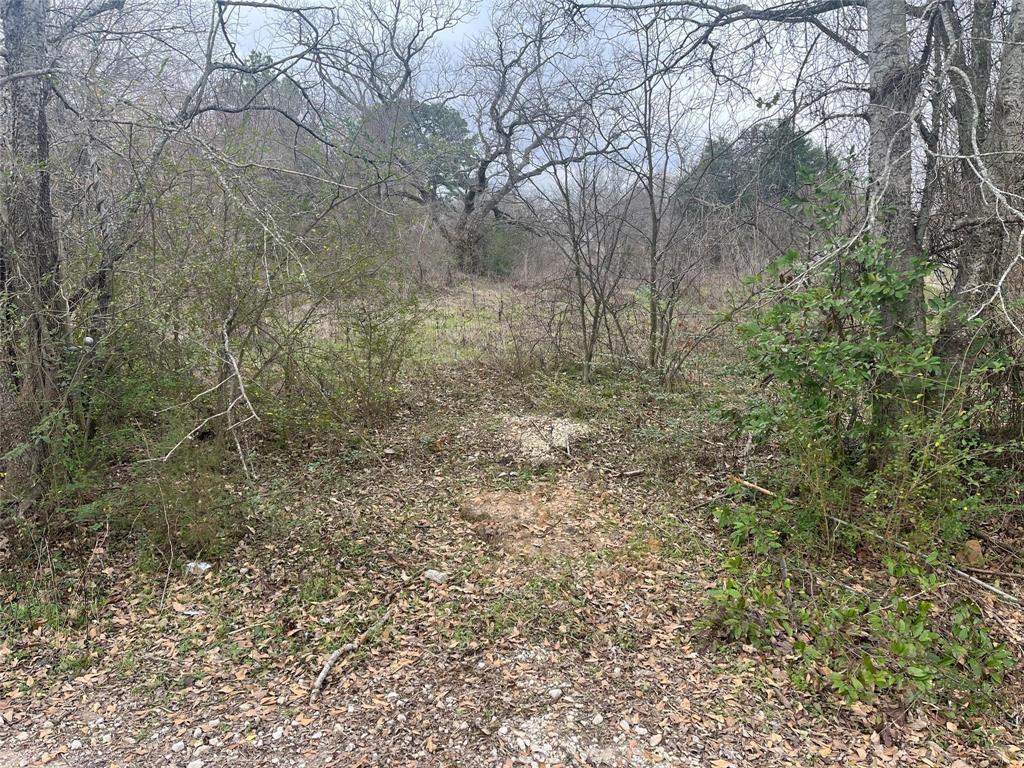 Welcome to an exceptional property having a unique blend of space and zoning possibilities. This prime 1.7-acre parcel boasts a coveted C1 zoning, providing a versatile canvas for your business endeavors. Nestled among the charm of Teague, this property is graced with the presence of mature trees adding a touch of natural elegance to the landscape. The strategic placement on a corner lot enhances accessibility and visibility, making it an ideal location for a range of ventures. The generous 1.7 acres provide ample room for development, ensuring that your vision can be realized with plenty of space to spare. Don't miss the opportunity to make this prime piece of real estate yours!