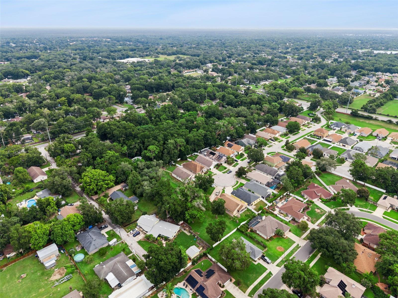 2019 Golden Ivy Way