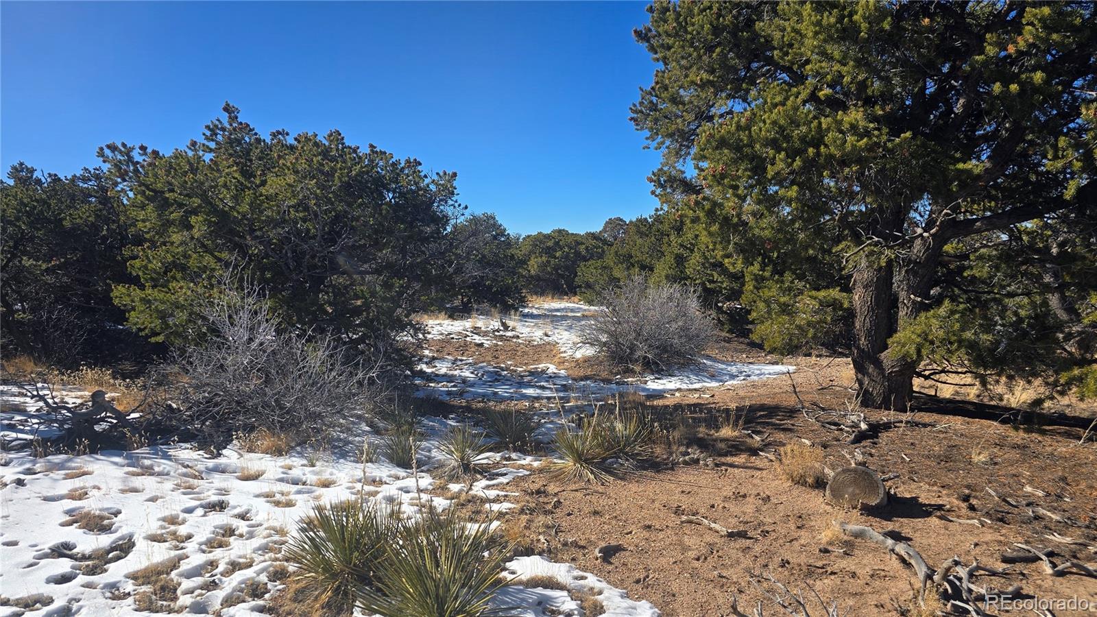 Lot 2027 Edmond Road