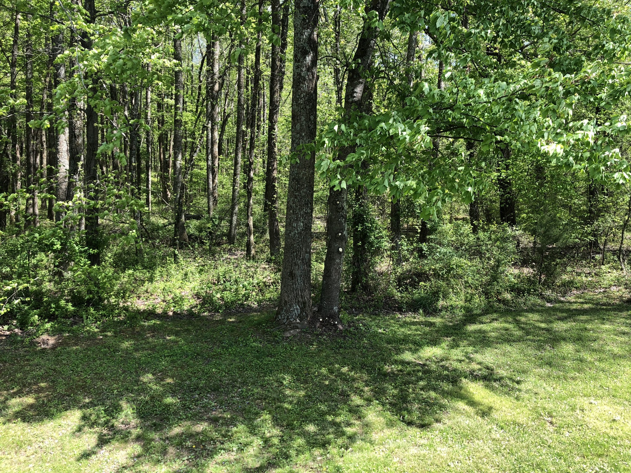 104 Ashwood Ct