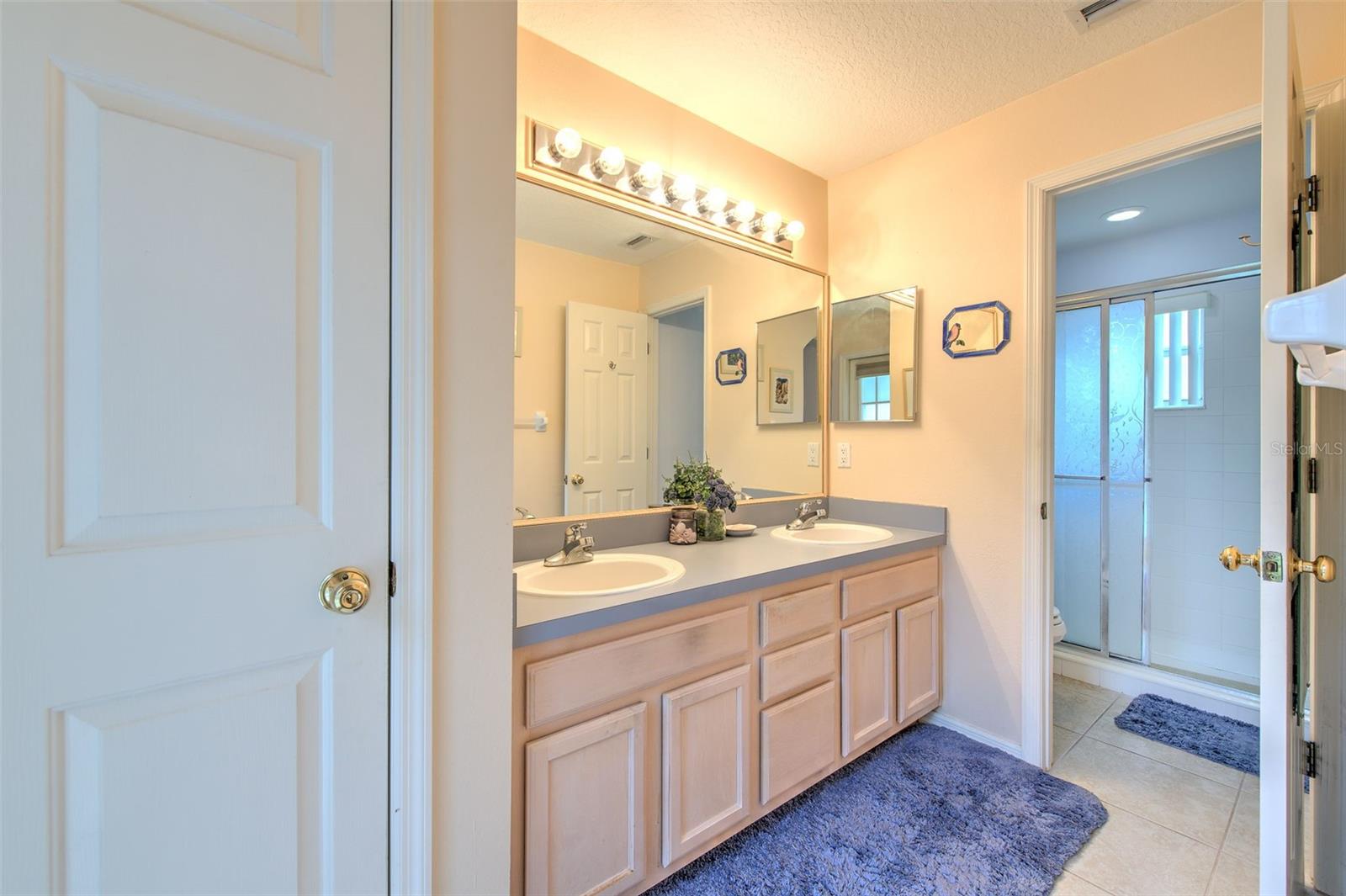 3303 Stonebridge Trail