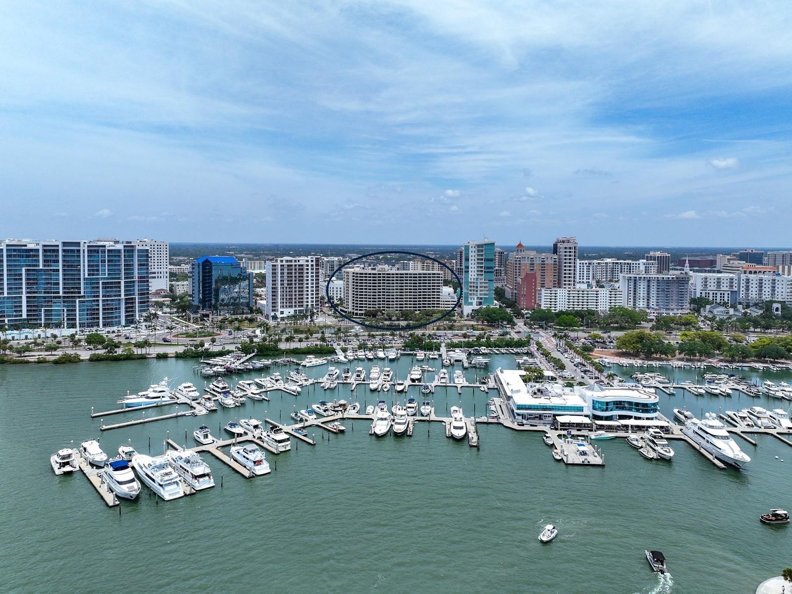 1255 N Gulfstream Avenue 1101