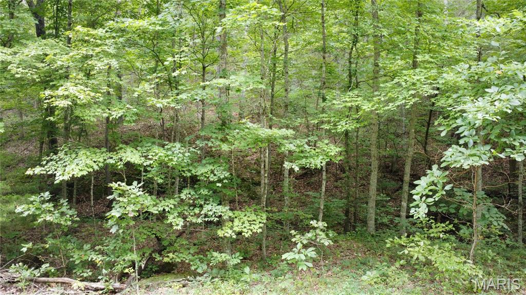 10223 San Juan Trail