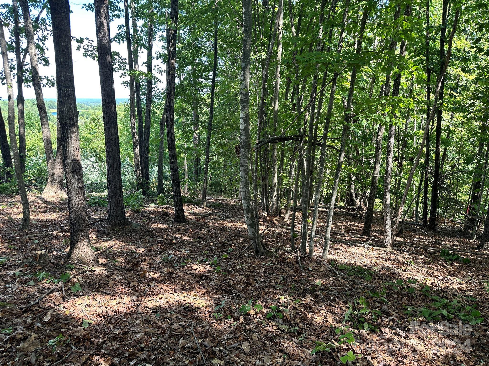 65 Serene Trail 461