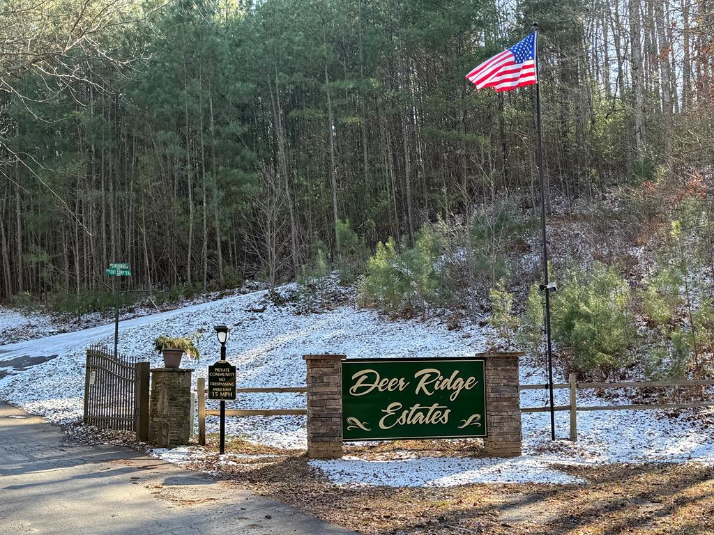 Great lot in nice subdivision, ready for your mountain dream home. Paved roads, power and water at property.