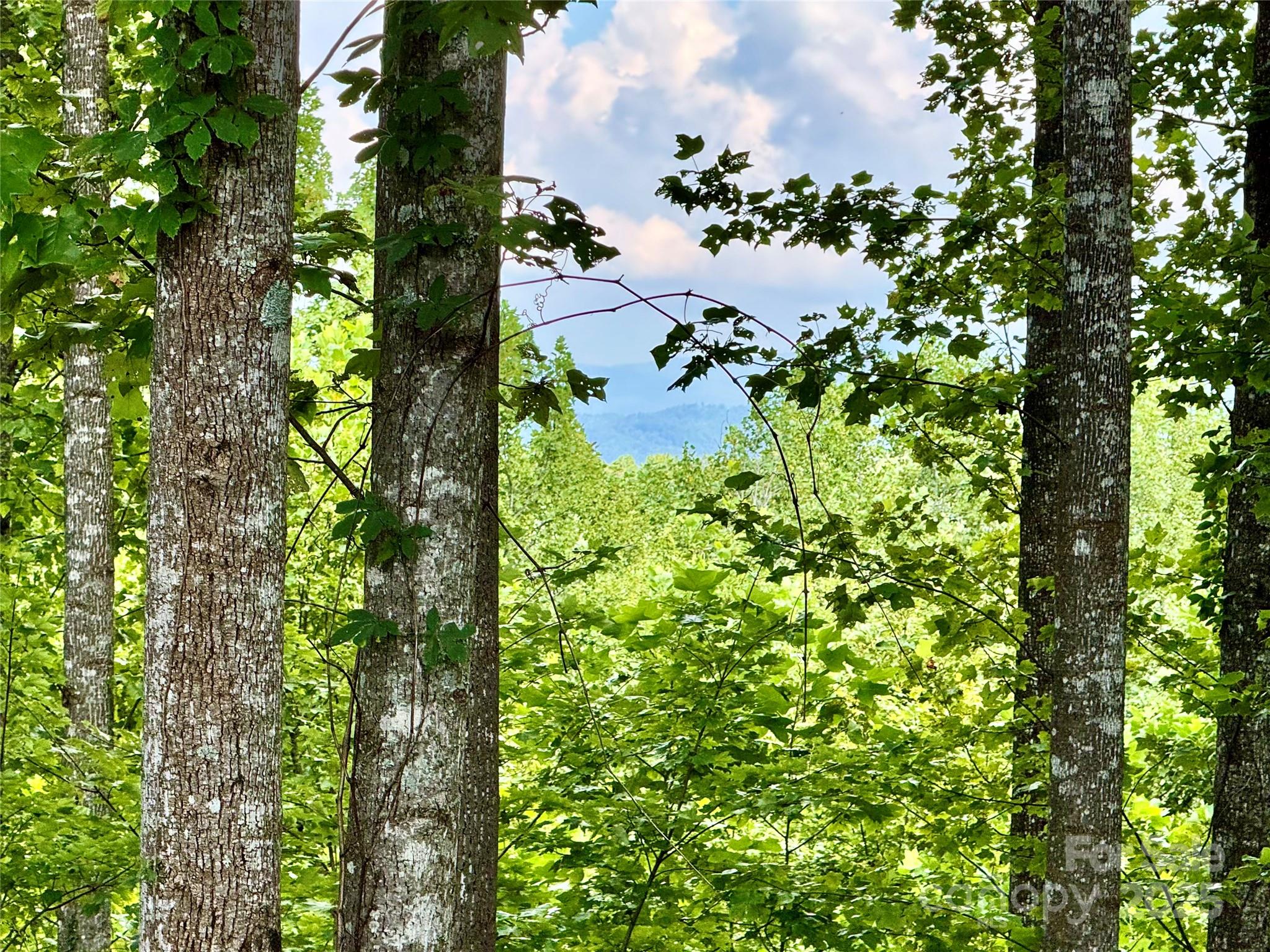 2.01 acres, Lot 971 Soaring Top Lane 971