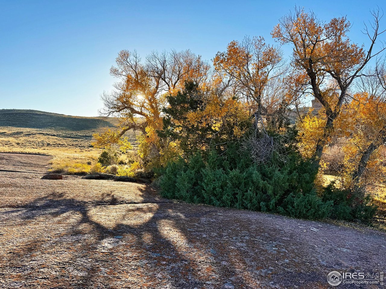Experience the rare opportunity to own a legacy property featuring a natural bridge spanning Sand Creek, which flows gracefully through the center of this stunning 35-acre parcel. This unique landscape offers a serene and timeless setting ideal for family retreats or long-term investment. Enjoy access to Roosevelt National Forest, world-class fishing along Sand Creek, and miles of scenic dirt roads perfect for cycling, horseback riding, or peaceful nature walks. Wildlife abounds, and the panoramic views, including Camel Rock, provide a tranquil backdrop for relaxation and reflection. This is more than land-it's a soulful escape and a generational treasure.