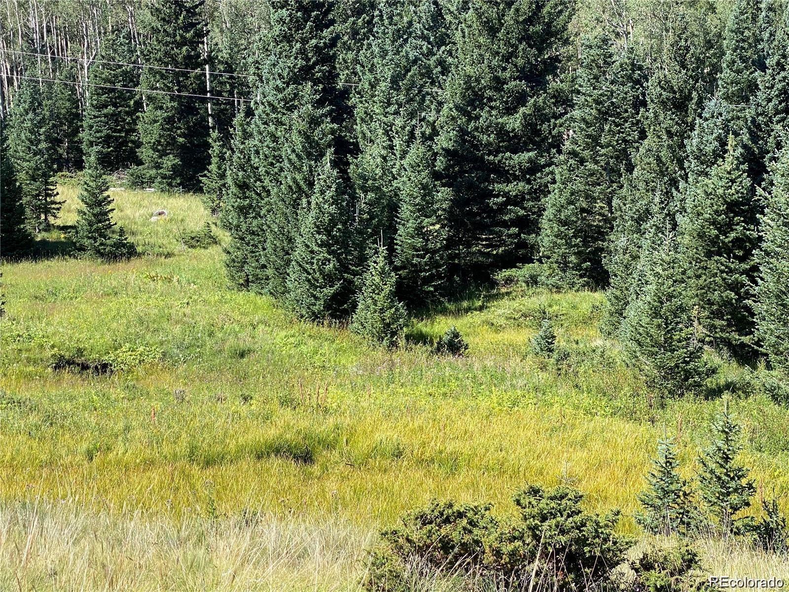 Lot 3141 Forbes Loop Road