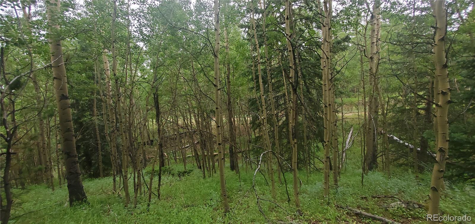 Lot 6882 Donna Road