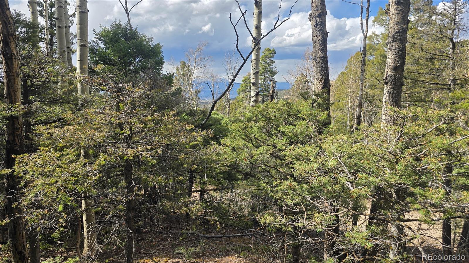 Lot 5261 Scott Road