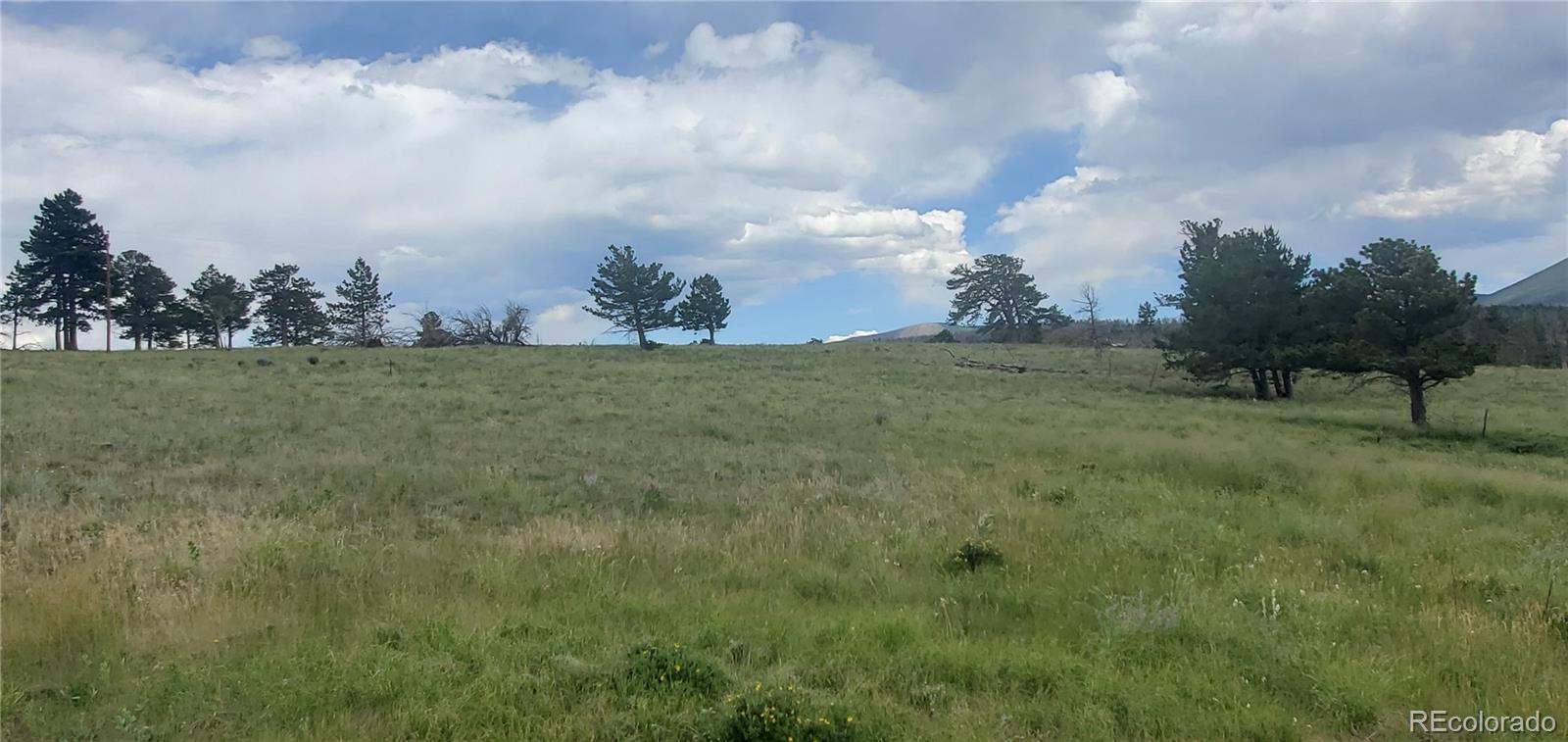 Lot 1720 Fitts Place