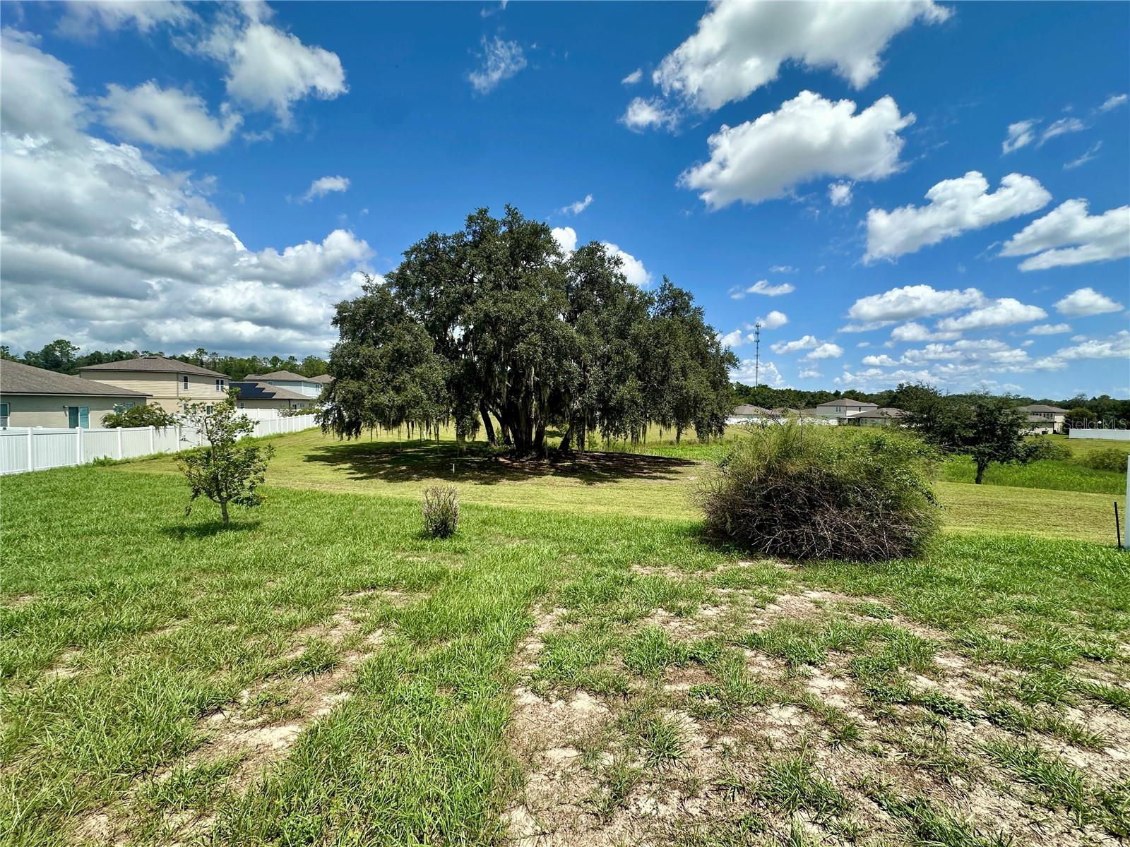 15409 Ivory Gull Lane