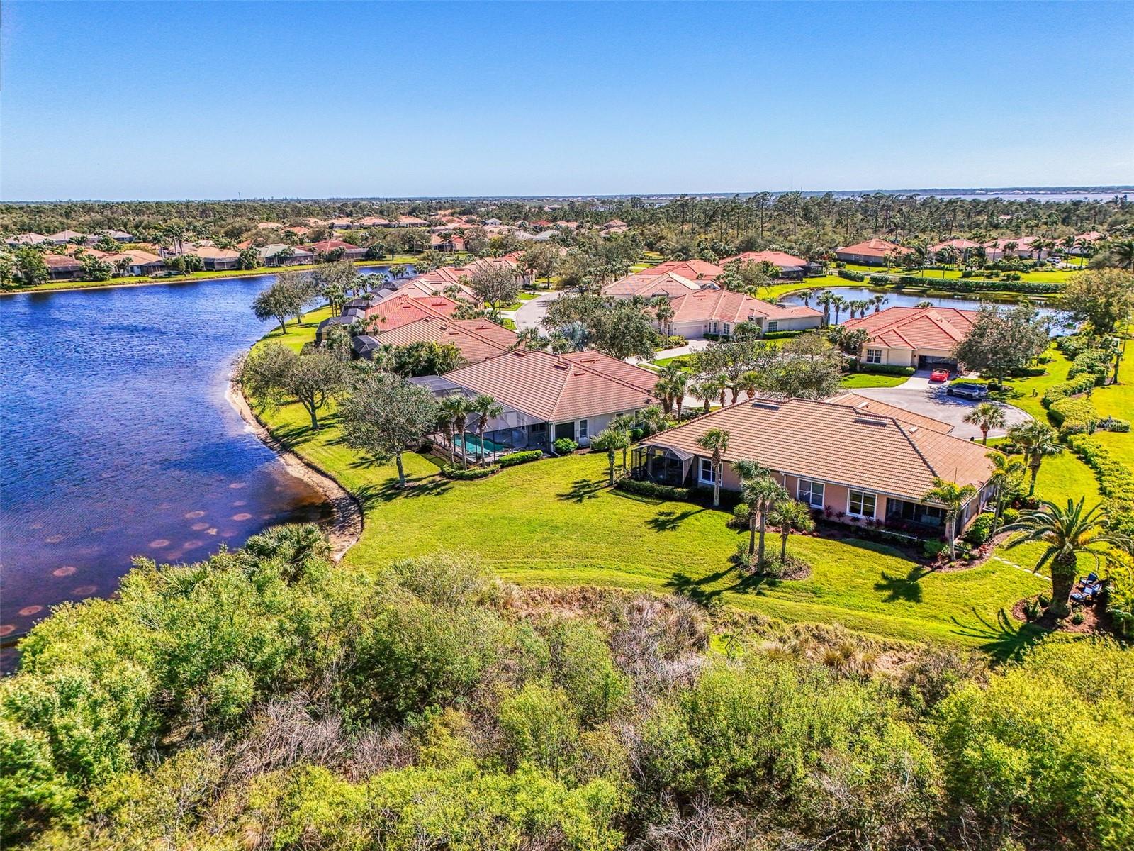 2625 Wax Myrtle