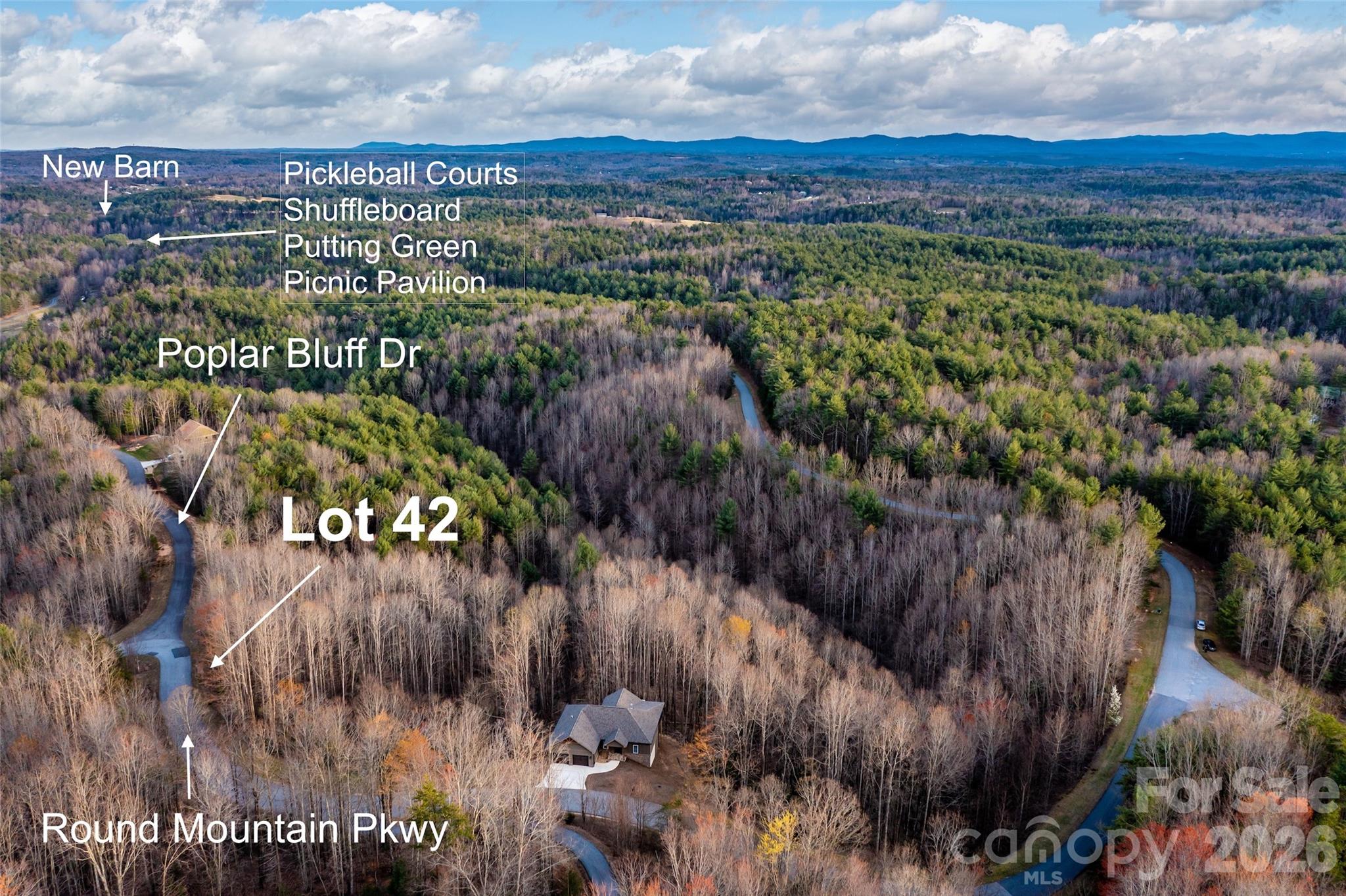 Lot 42, Round Mountain Parkway 42