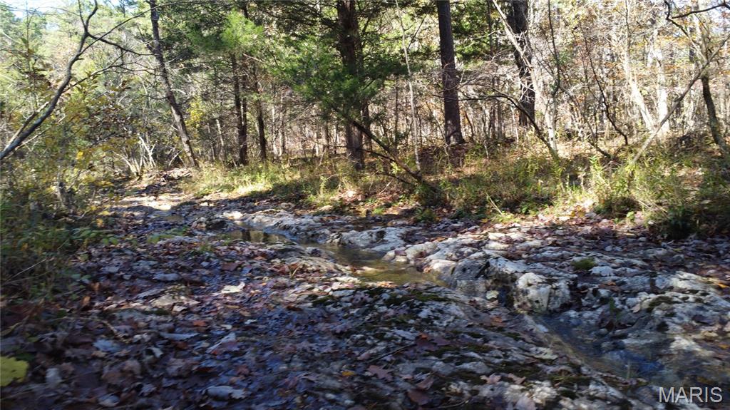 10256 Christina Trail