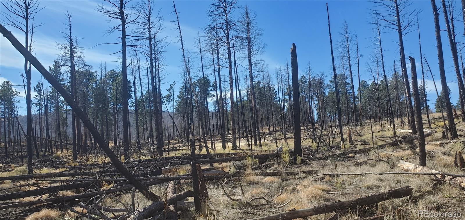 Lot 585 Leslie Loop