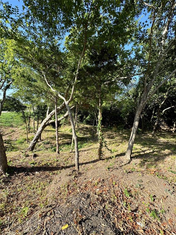 1784 Jilian Drive