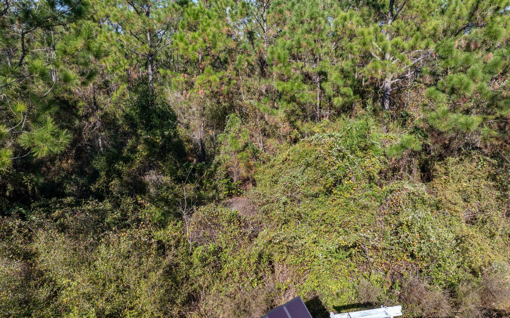 1032 SW Van Buren Rd