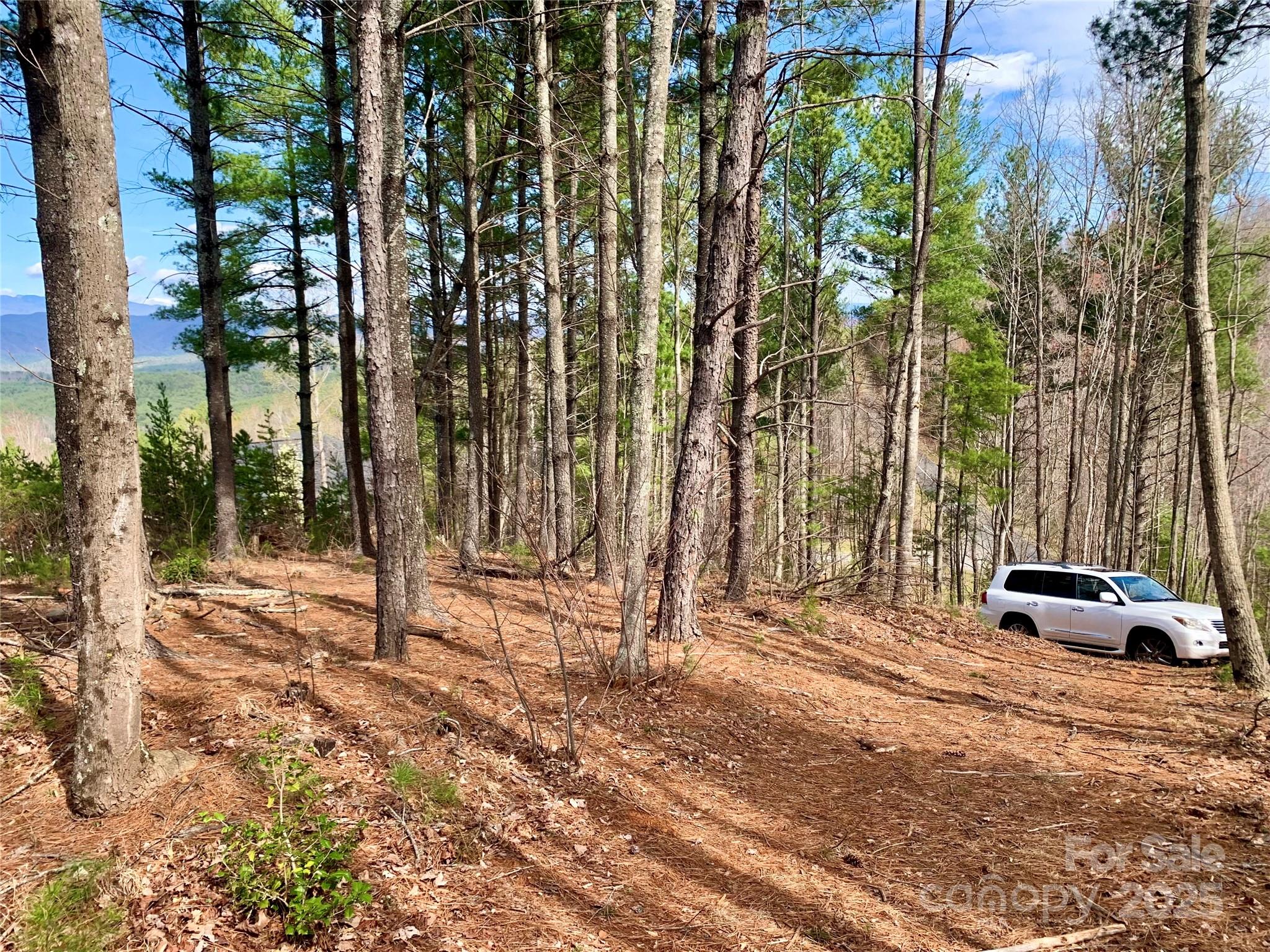 1.62 acres Lot 204B Johns Ridge Parkway Lot 204B