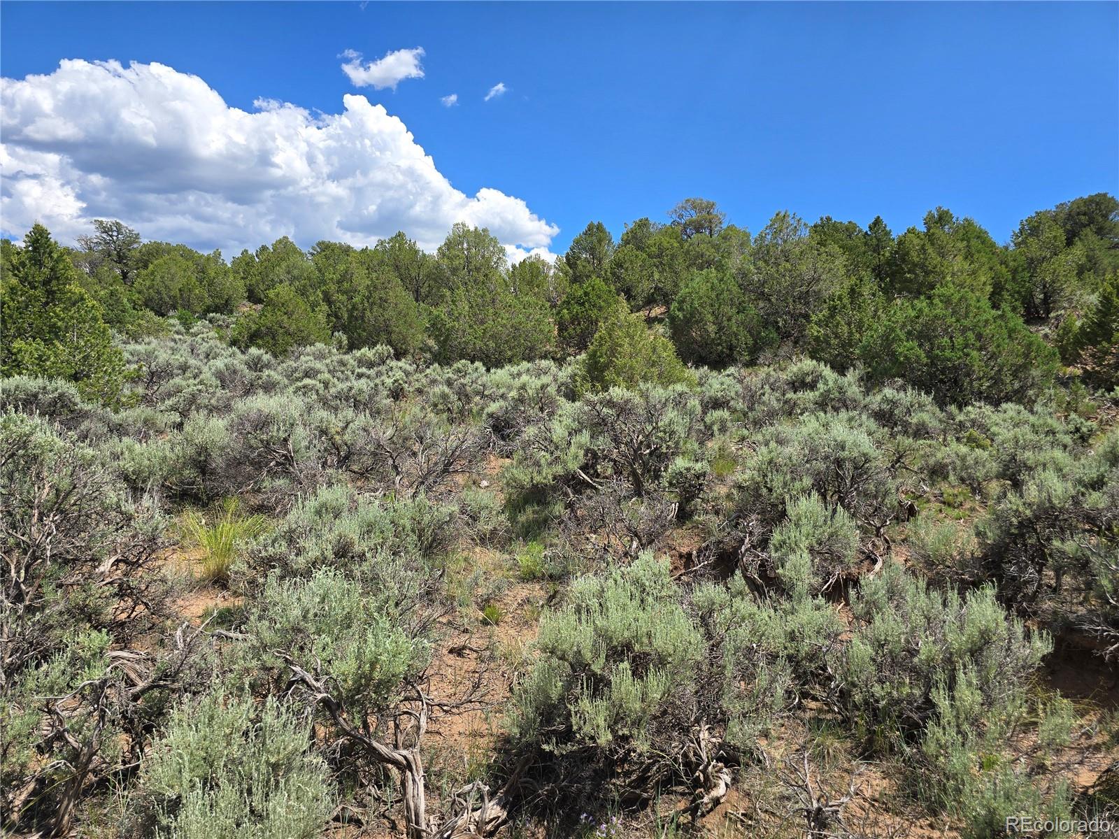 7572 Dashiell Road