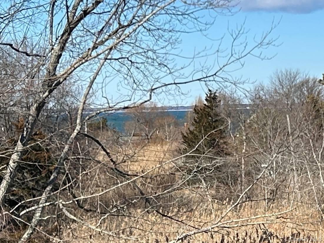 37 Peconic Bay
