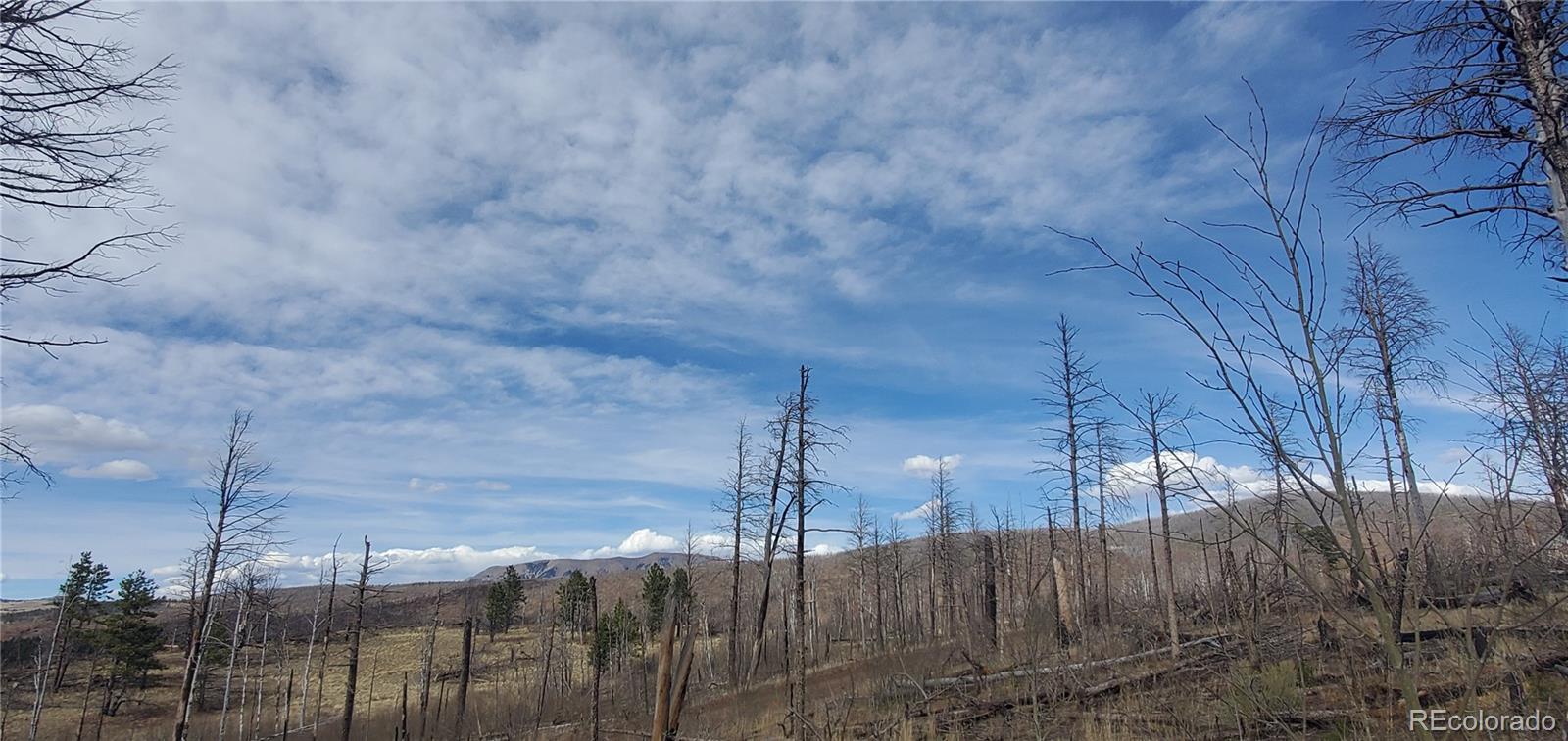 lot 1223 Emery Loop