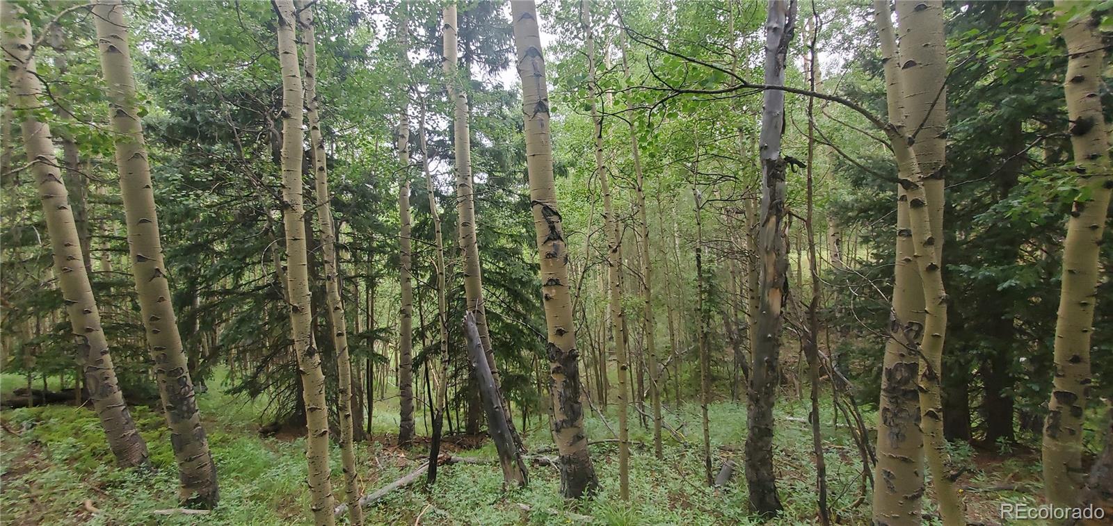 Lot 6882 Donna Road