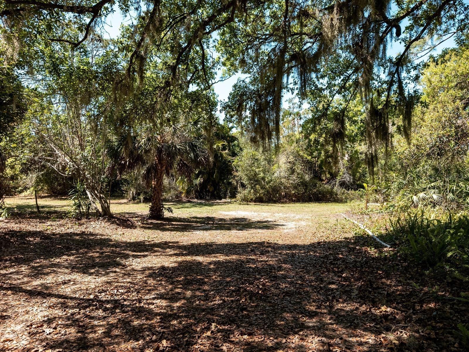 7311 Proctor Road