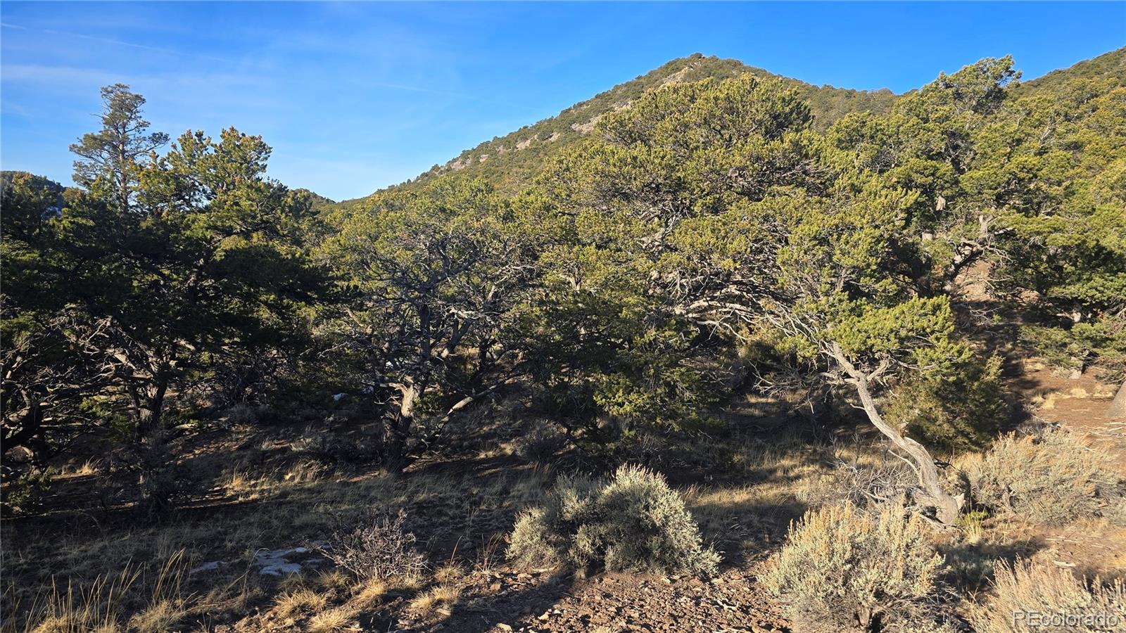 Lot 4582 Laidlaw Road