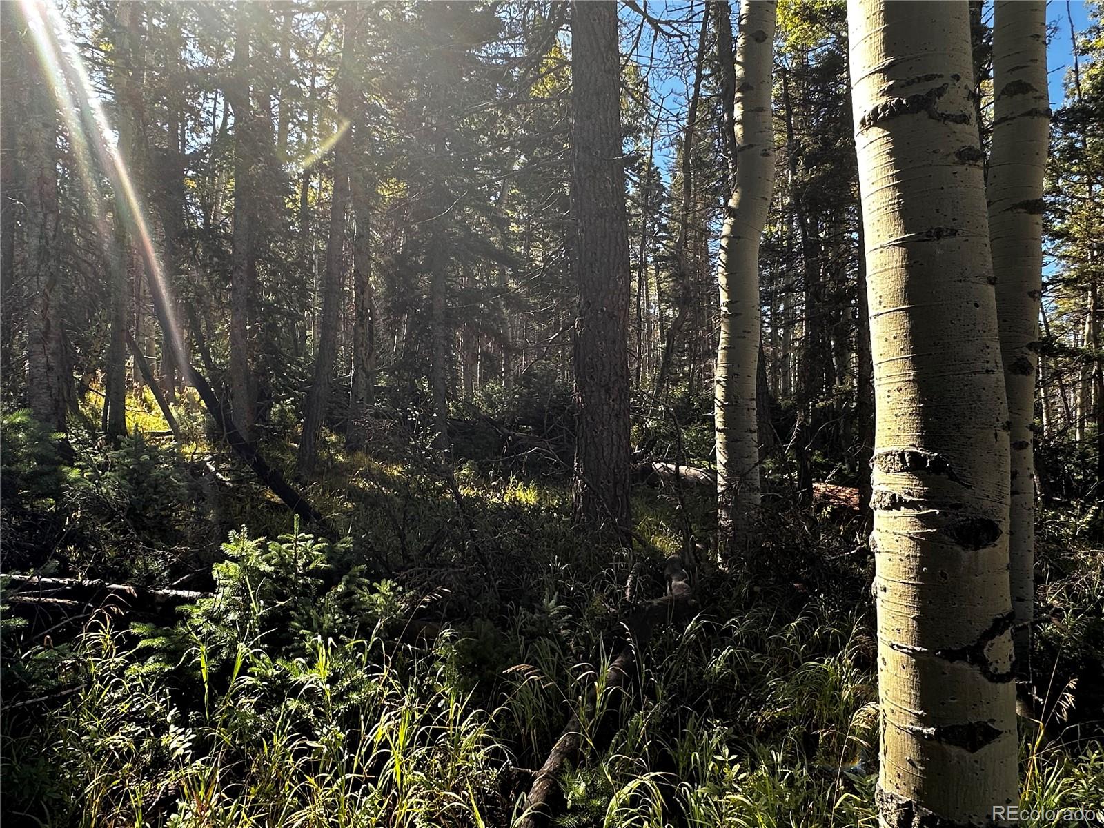Lot 2652 Petito Drive