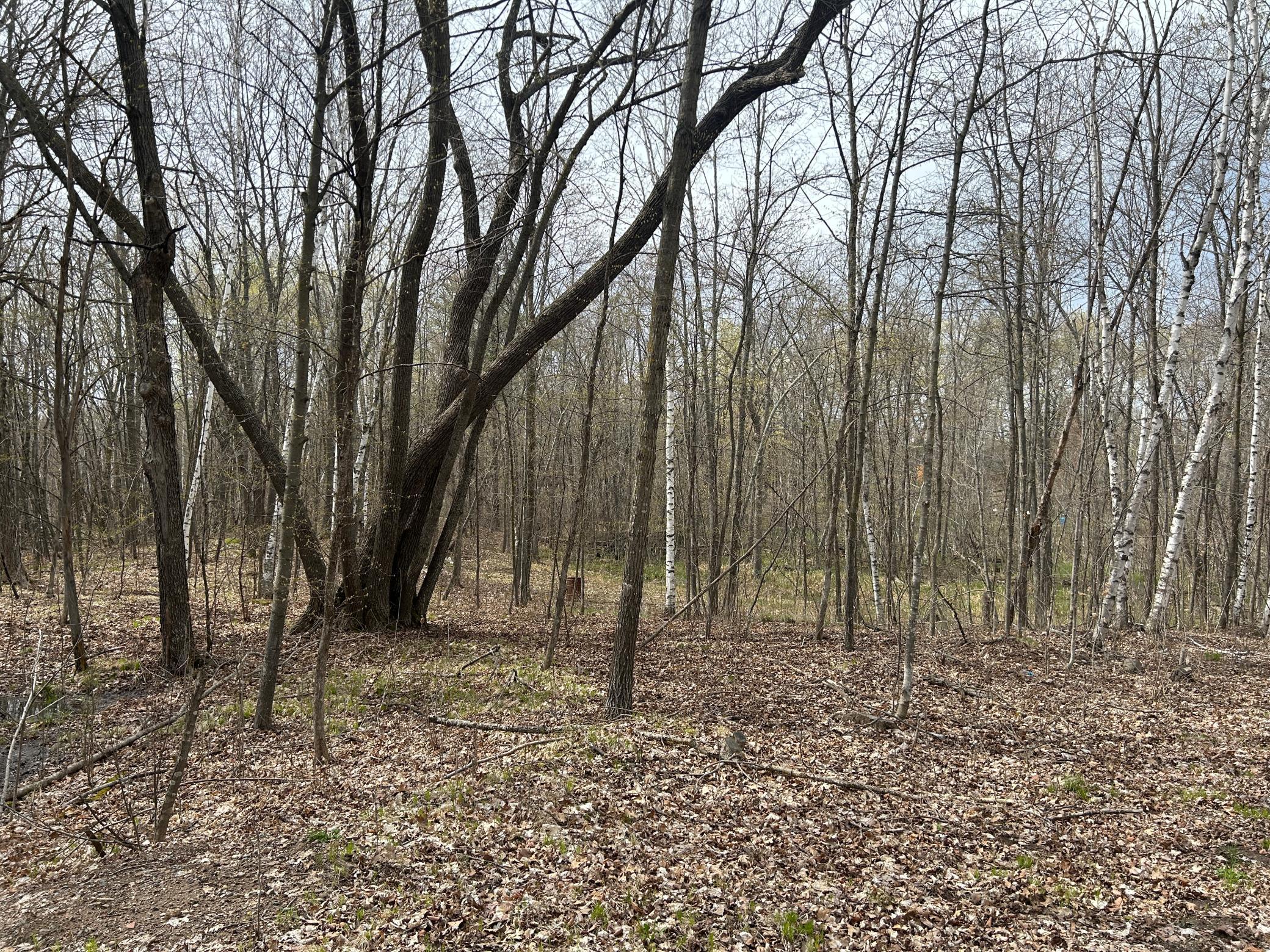TBD Meander Way