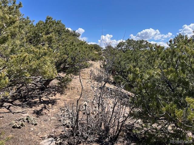 Lot 3306 Fontaine