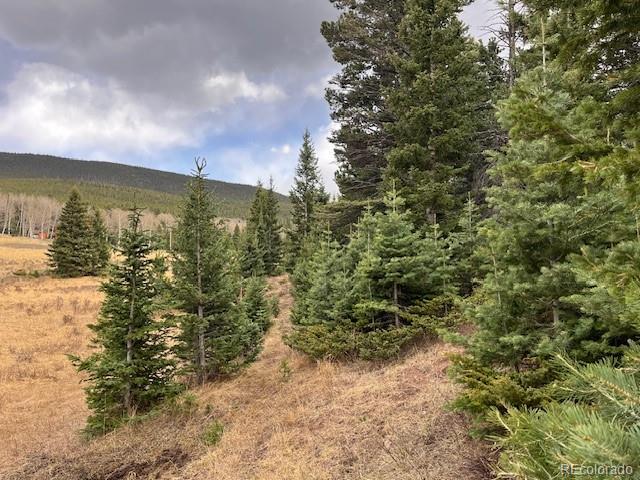 Lot 3091 Sterenson Place