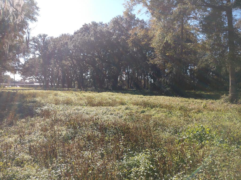 Prime Location along strategic Thomasville corridor. Zoned C-2 with over 465 feet of road frontage and 5.36 total acres, this site has a multitude of possibilities. Formerly home to Oak Grove Nursery, an impressive drive lined with century old Live Oaks is indicative of the regions unique landscape and history.  This site provides great visibility, high traffic counts, and a pristine landscape. Call for more information on this offering.