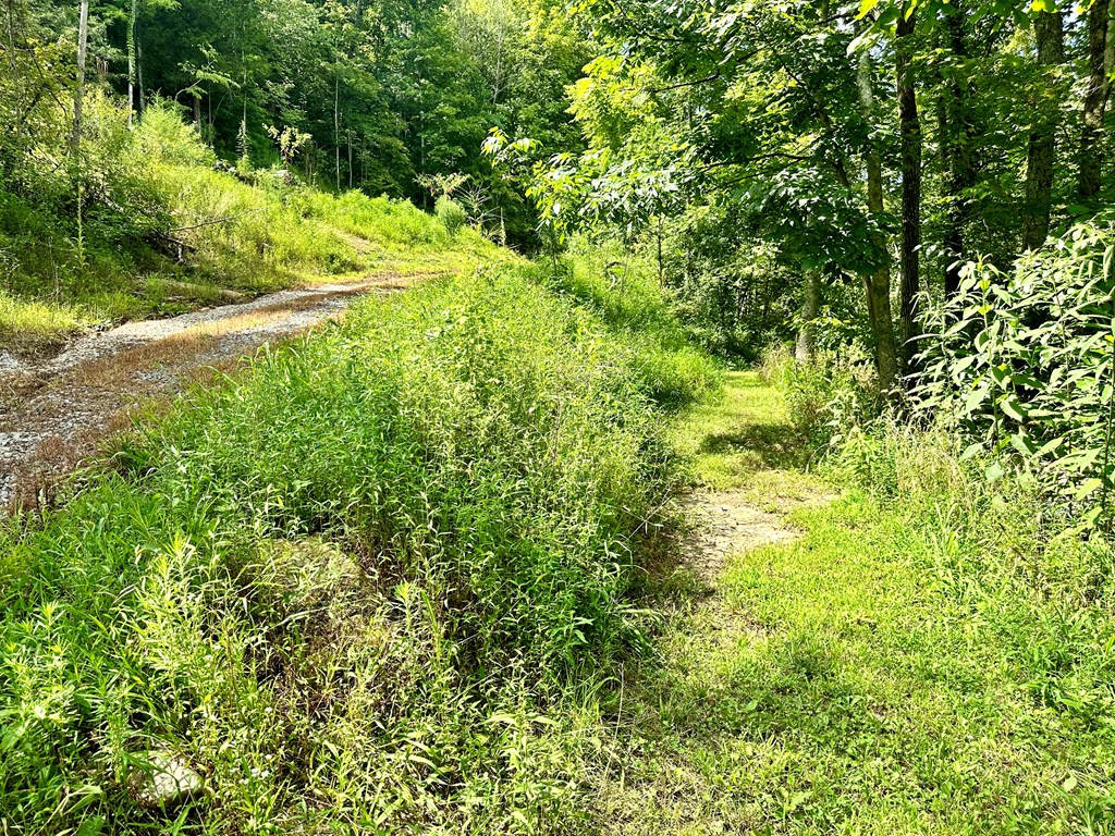 392 Possum Hollow Rd