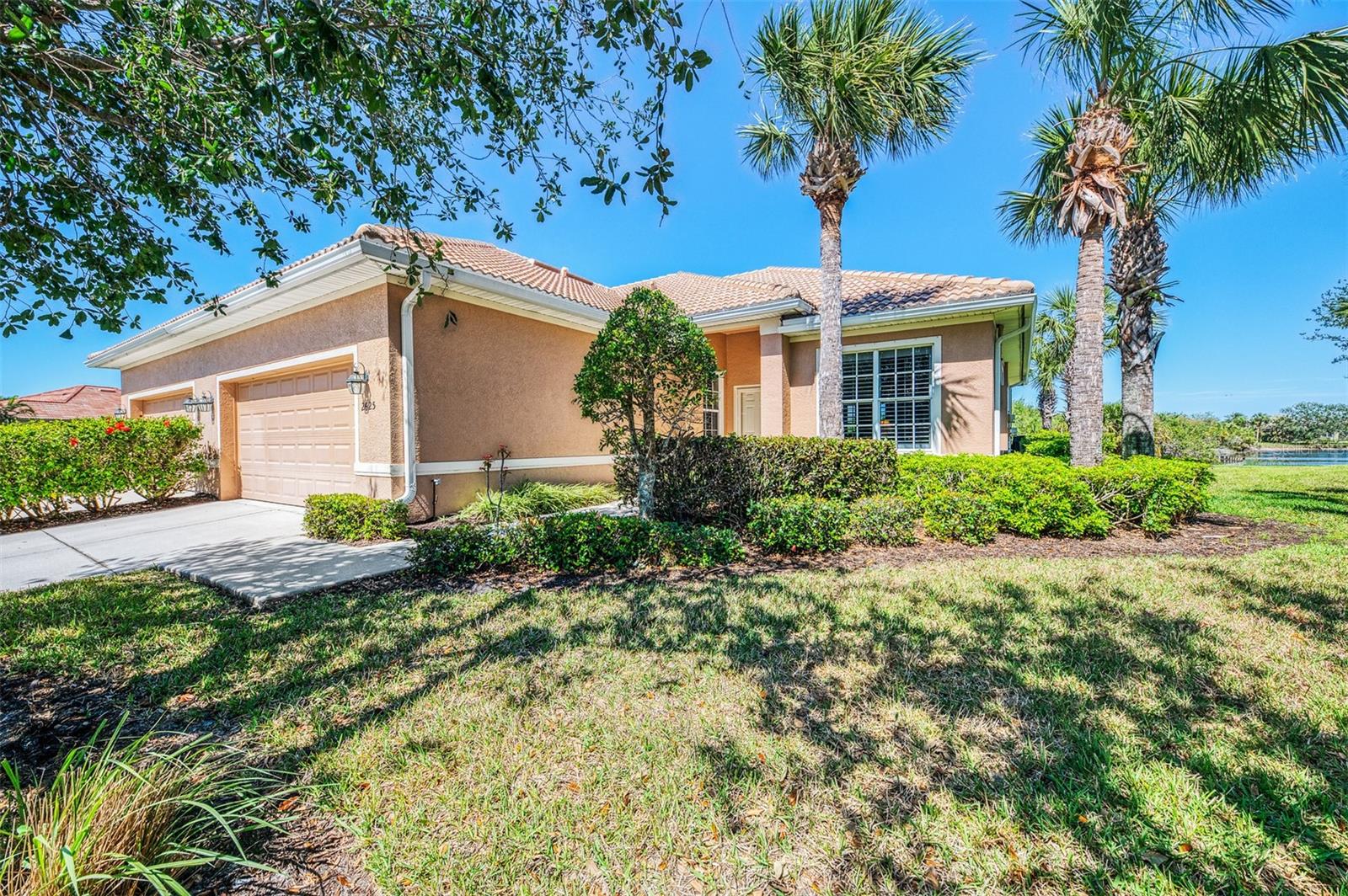 2625 Wax Myrtle