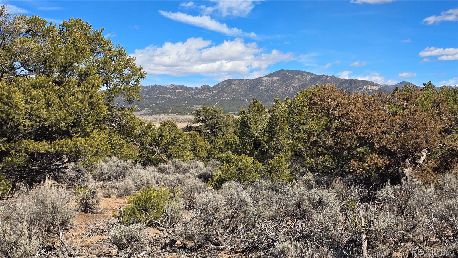 Lot 409 Williams Road