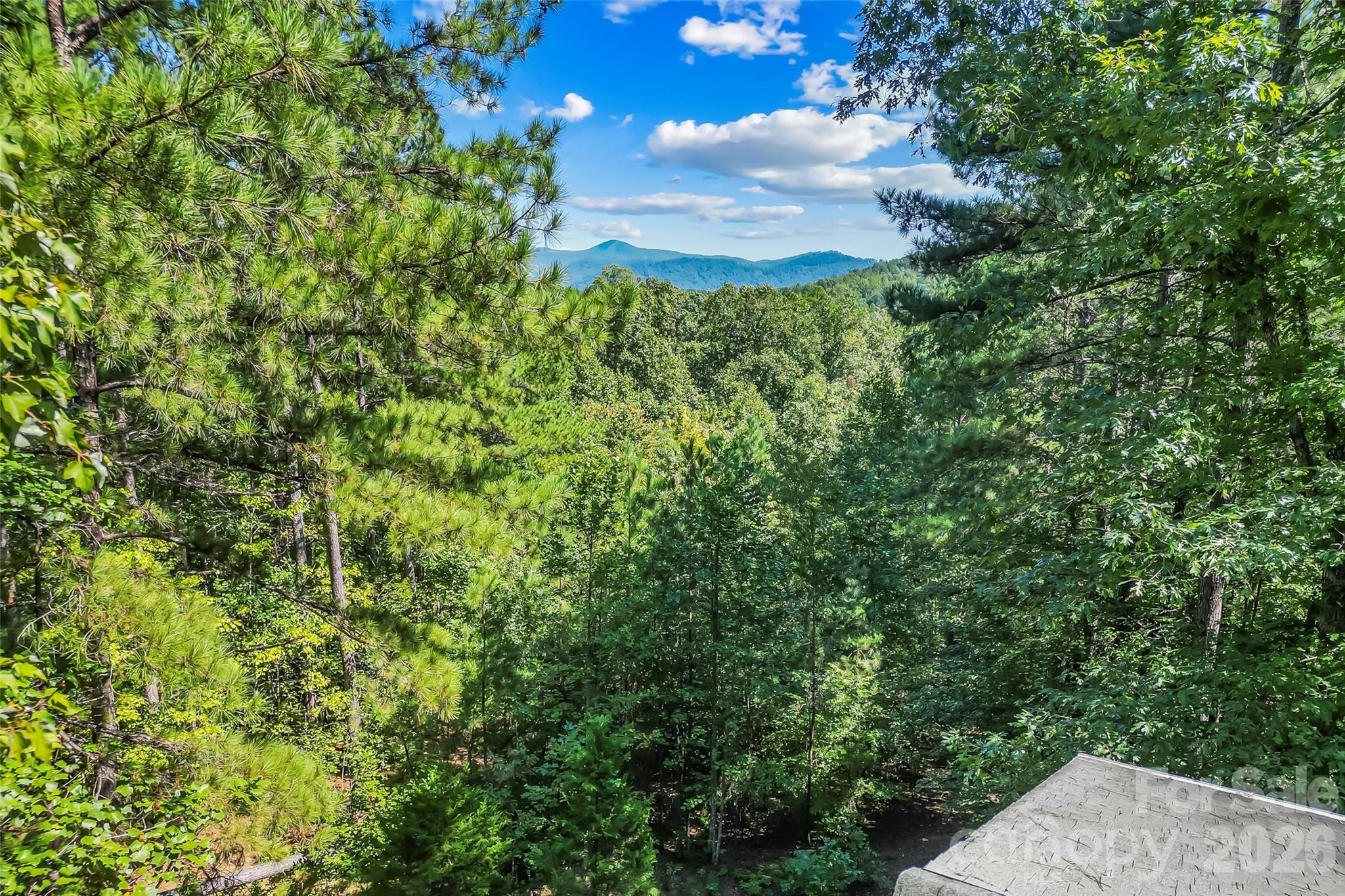 77 Dunn Trail