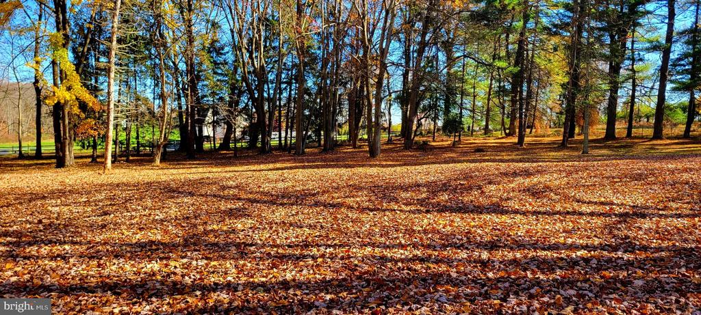 BUILD YOUR DREAM HOME ON THIS 2 ACRE LOT.This custom home is crafted and ready to be tailored to your vision by Builder Direct Homes LLC. Nestled away from the main road on a fully private, level lot. This property offers a peaceful, picturesquesetting like no other. A private, tree-lined drive will be graced with Pilasters leading youto the site of your future dream home. Beautiful landscaping is included to provide theprivacy you desire. Located within a tranquil neighborhood in the highly regarded RoseTree Media School District, you’ll enjoy the convenience of being just minutes fromWest Chester, Media and all major roadways. Don’t miss the opportunity to infuse yourpersonal touch to create the home of your dreams, with endless possibilities forcustomizing the interior and exterior elevations, with builder courtesy incentives. A visitto a Builder Direct custom-designed home is available for review of workmanship to aninterested, qualified buyer. A MESSAGE FROM BUILDER DIRECT HOMES. Thank you for considering 1616 Meadow Lane. With over 30 years of experience as a custombuilder, I take immense pride in overseeing every detail of your new home’sconstruction. Your home will be built with the finest materials and crafted by a team ofhighly skilled contractors from across the residential construction industry. Ourcommitment to excellence means that every aspect of your home is given the utmostattention. Over forty specialized trades work together to create a living space thatexudes both luxury and prestige-qualities that come with owning a meticulously builthome. Designed with both comfort and functionality in mind, your new home offersexpansive indoor and outdoor spaces perfect for both large gatherings and intimatemoments. From grand entertainment to quiet relaxation, every feature has beenthoughtfully chosen to welcome you home. Consult Builder for 1st floor In-Law Suite option.** Please note: elevations, floor plans and pricing can be subject to change.