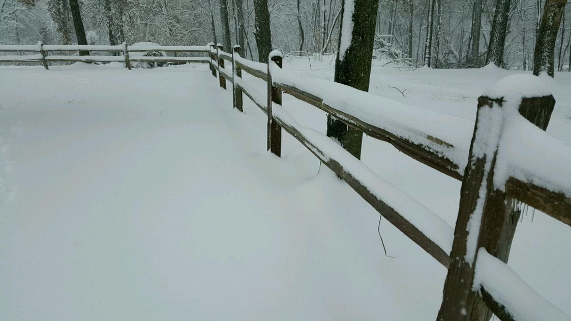 351 Bowling Branch Rd