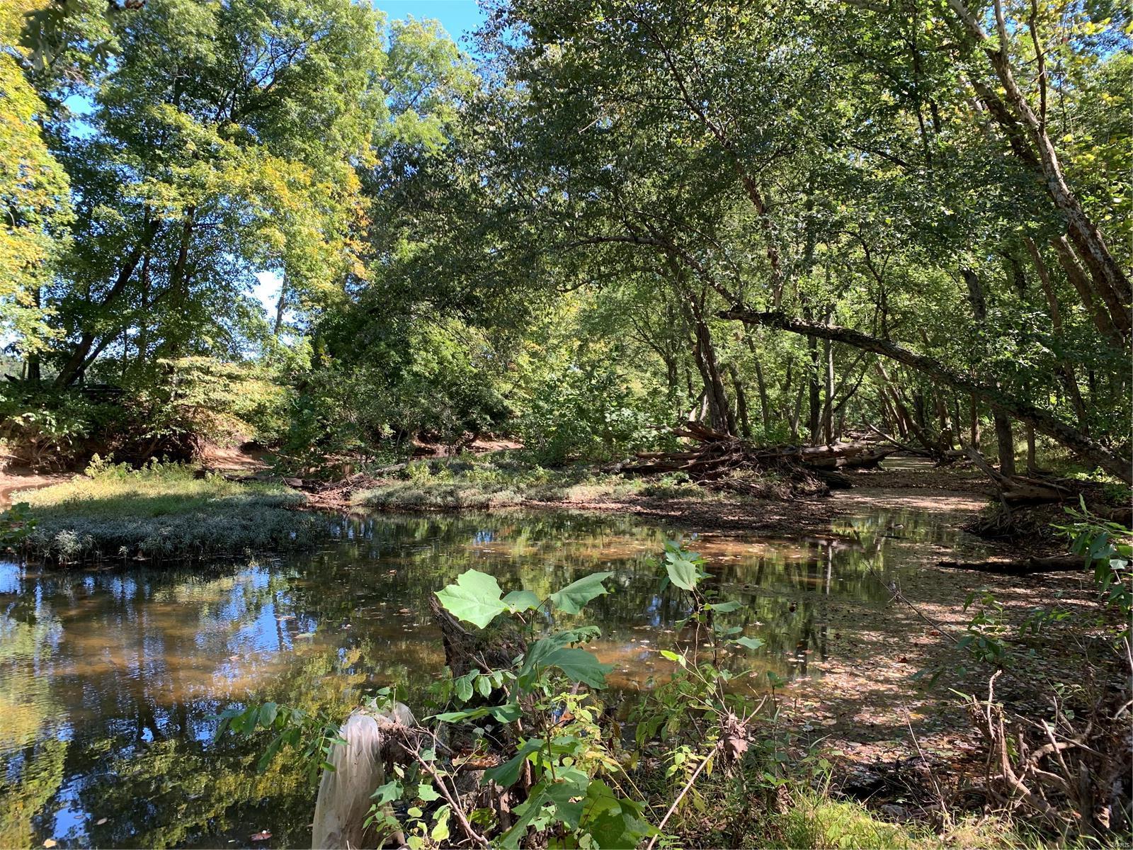 Land for sale in Farmington, Missouri, 22063256