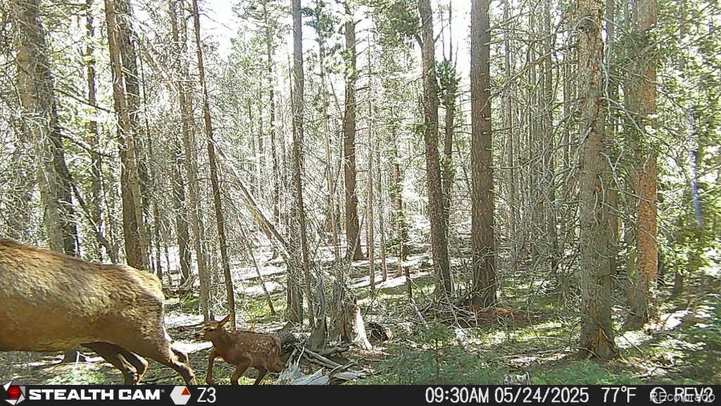 Lot 3427 Grojean Drive