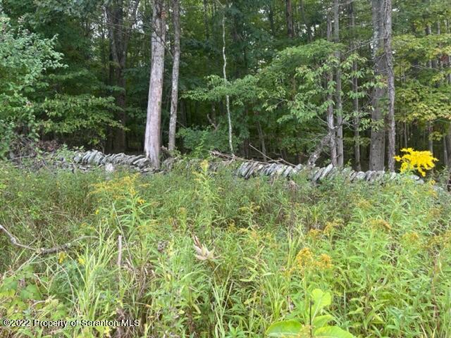 1308 Gravel Pond Road