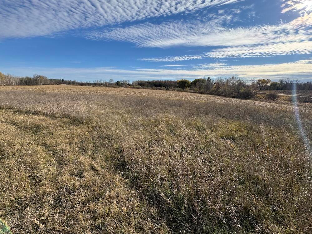 Located on a paved blacktop road just outside West Branch, this approximately 15-acre property offers a beautiful elevated building site with sweeping views of surrounding tillable fields and stunning western sunsets. The tillable acreage provides income potential, and for a smaller parcel, the deer sign is remarkable. Scrapes and deer beds are all over the parcel (see pics), making it a prime spot for outdoor enthusiasts.A previous home on the property burned down, but much of the infrastructure remains. There is an approximately 15x35-foot basement and a cement slab/foundation that was the footprint of a 4,800 sq. ft. house. One room still stands and could either be removed or incorporated into future plans. The property features a large septic field and tank, both still believed to be serviceable, and a well over 120' deep, also believed to be in working condition.Parcel 2 includes a small septic field and tank, along with a shallow well; the condition is unknown, but it could be a nice bonus.
A metal pole building offers ample storage or workspace. The property is also conveniently located near the Rifle River and Rifle River Recreation Area, as well as nearby state land areas with extensive trails for snowmobile and ATV riding. A rare opportunity to build your dream home on a scenic, income-producing parcel with existing utilities and abundant outdoor appeal.

 Current use is Farm,Hunting,Recreational.