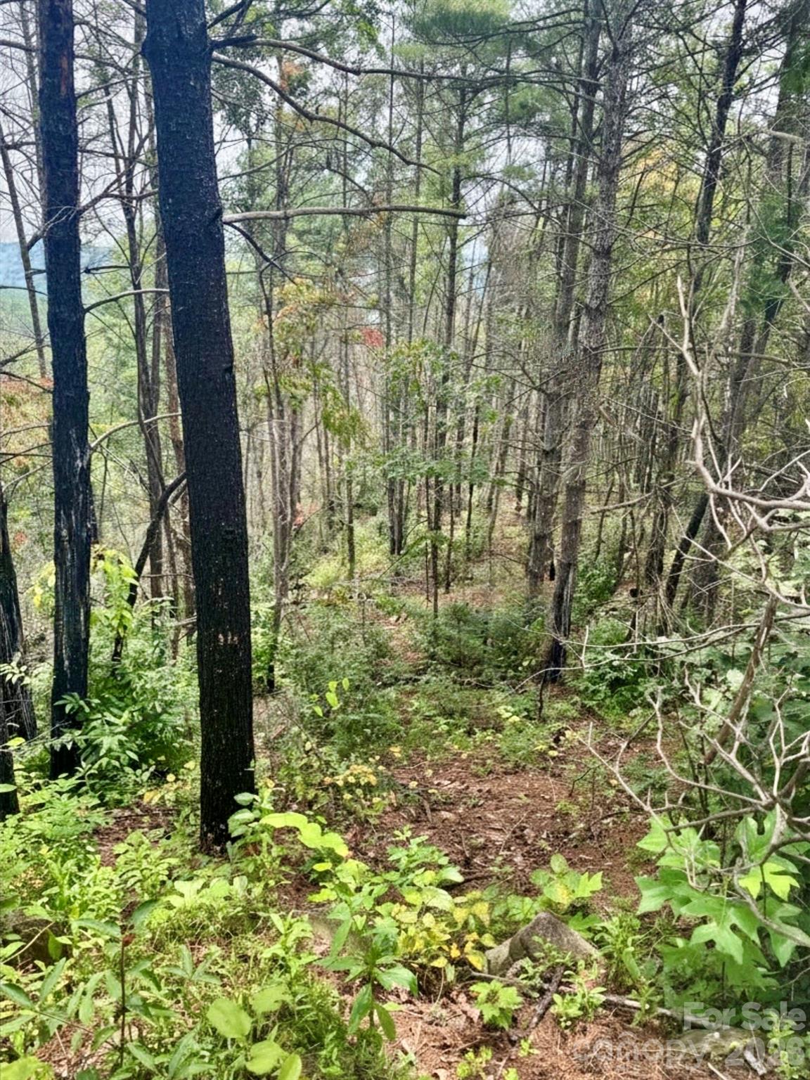 1.46 acres, Lot 48 Tomahawk Ridge Drive Lot 48