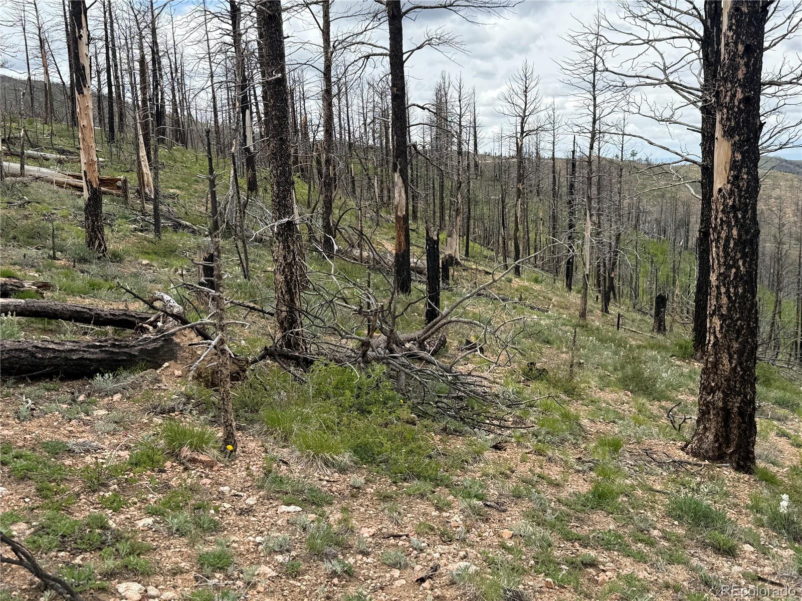 Lot 383 Soubry Place